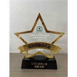 突出貢獻(xiàn)個(gè)人獎(jiǎng)